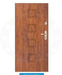 Двері вхідні металеві GERDA WX20 P20 Olympia