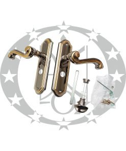 Ручка SIVIGLIA 47,5 WC золото/платина OPDV