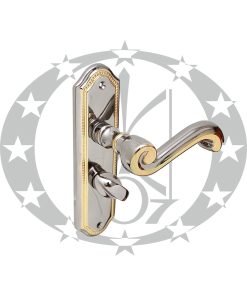 Ручка SIVIGLIA 47,5 WC золото/платина OPDV